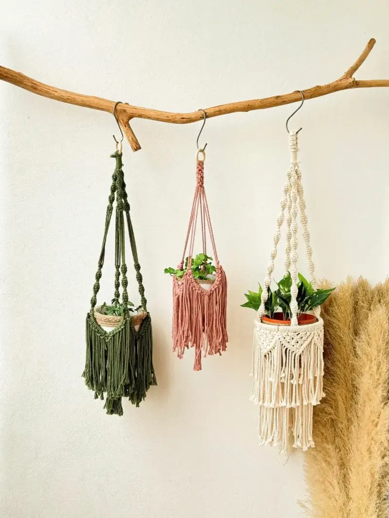Giỏ treo cây macrame